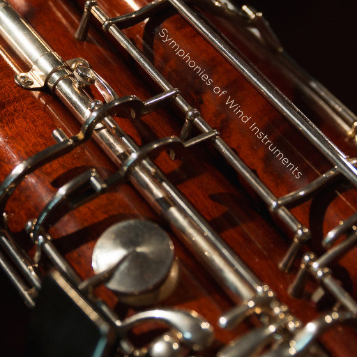 凤凰俱乐部小县城演出价格表
